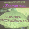 Probacja - Lipnica Murowana